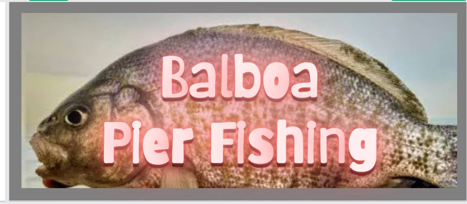 logo balboa pier fish 