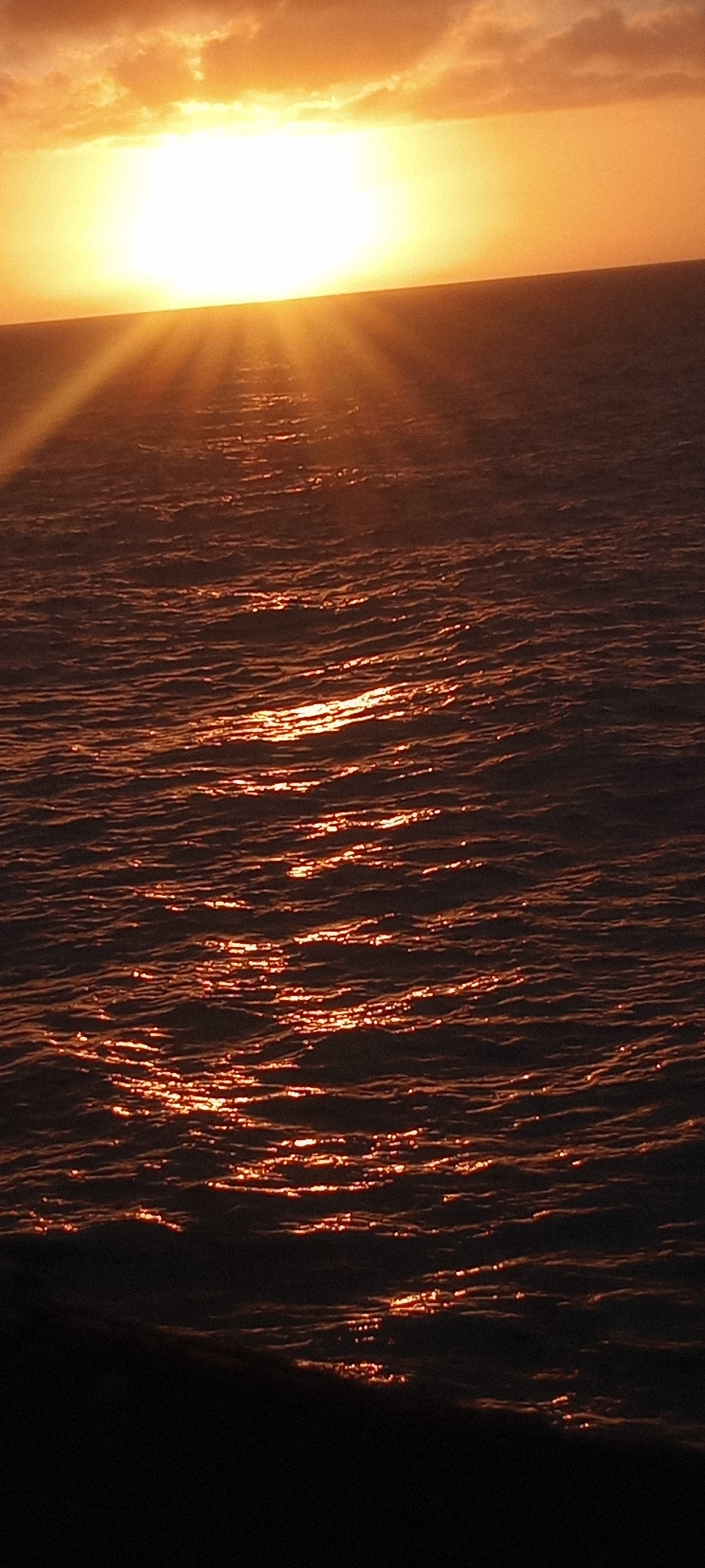 sunset Balboa Pier