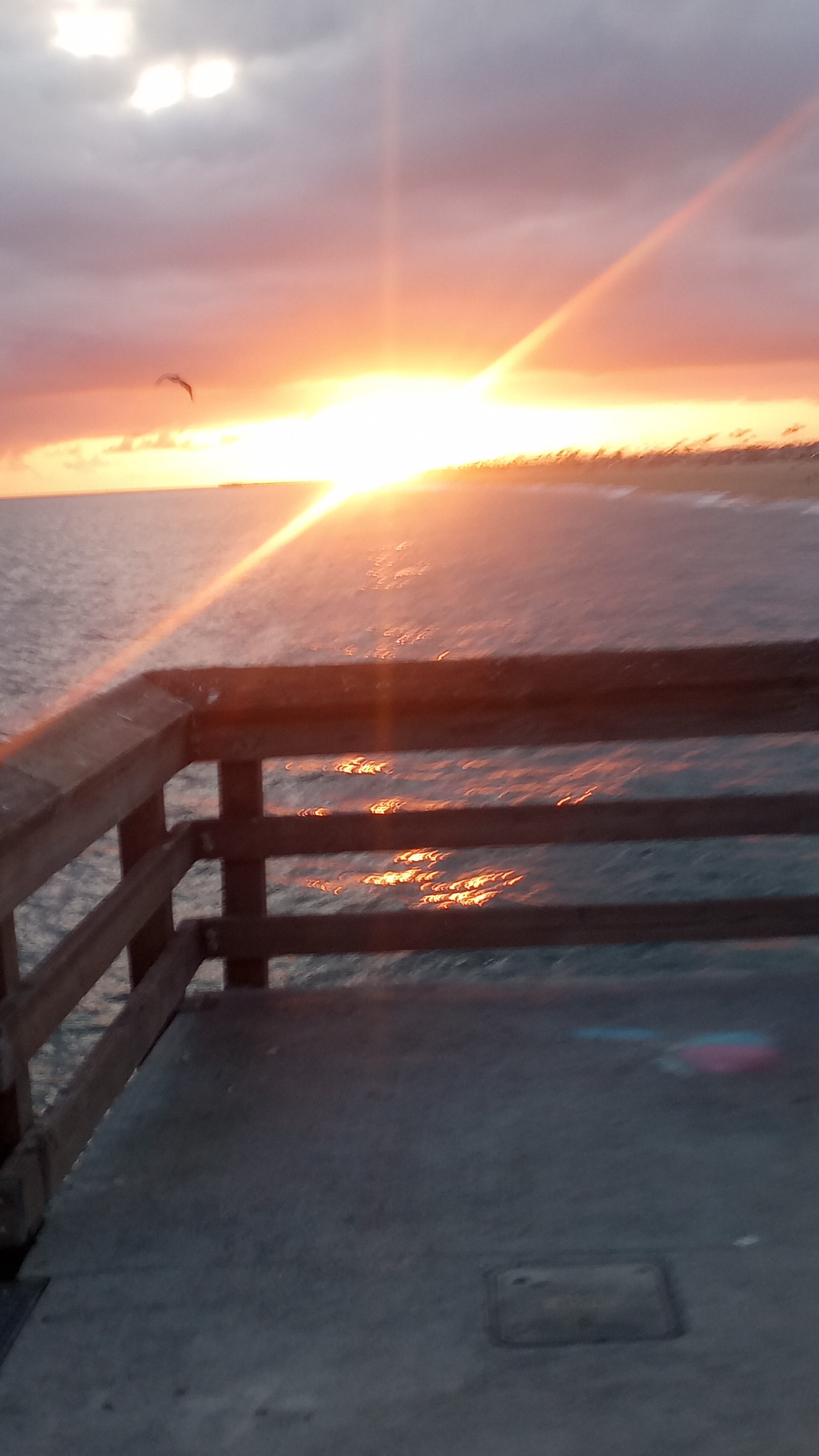 sunset Balboa Pier